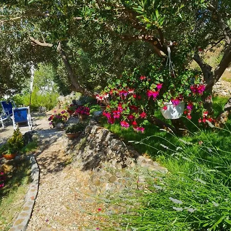 Apartman Dalmatia * Duce
