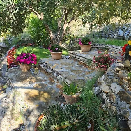 Appartement Dalmatia *