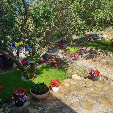 Apartman Dalmatia Apartment