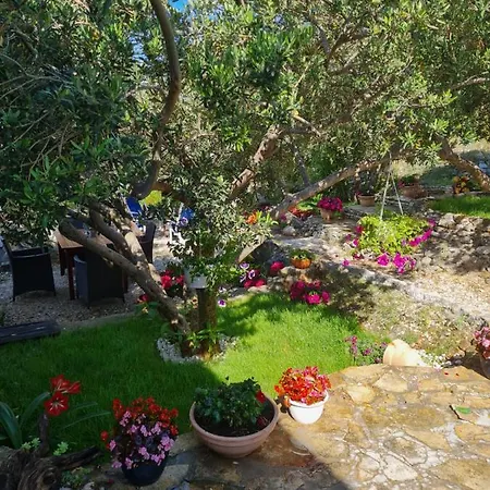 Apartman Dalmatia Duce